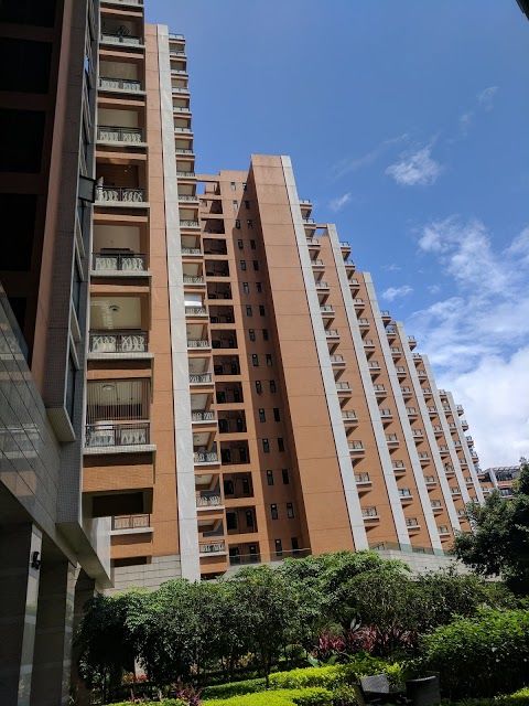 International Grand City